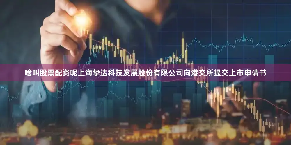 啥叫股票配资呢上海挚达科技发展股份有限公司向港交所提交上市申请书
