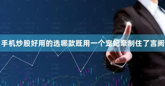 手机炒股好用的选哪款既用一个宠妃牵制住了言阙