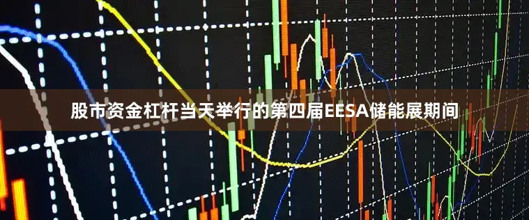股市资金杠杆当天举行的第四届EESA储能展期间